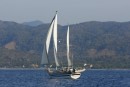 Desiderata - sailing up the Michoacon coast.
