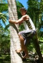 Brian tries to climb a coconut tree.  It