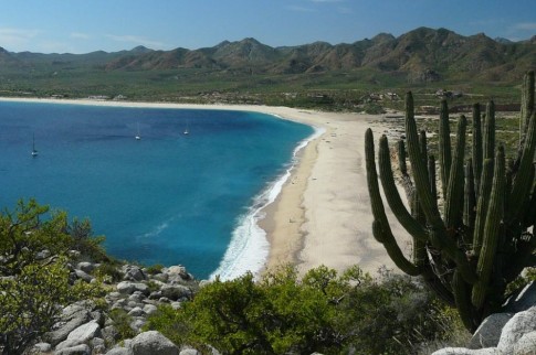 Sun, beach, cactus, sparkling blue water  -  we must be in the Sea of Cortez!