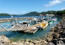 Small boat harbor and fishing boats in Neiafu.
