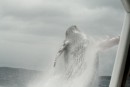 A humpback whale breaches a few feet from our dive boat while whale watching.