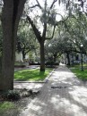 Savannah offers quiet walks through beautiful squares draped with Spanish Moss.  The historic downtown area is dotted with twenty-four such squares.