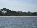 Just before entering Skull Creek bordering Hilton Head Island, we spot a couple walking their dog on the beach.