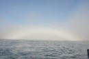 Fog rainbow
