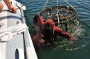 Octopus Onboard
