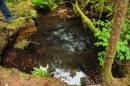 Here is a close up of the fresh water spring, with the blue/white minerals bubbling bup from the bottom
