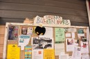 lefty checks out the Bolinas town bulletin board