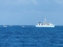 Bahamian fishing boat with its little boats following, Man of War Channel, Jumentoes