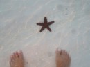 Starfish in shallows, Raccoon Cay