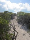 Trail up from a beach, Hog Cay