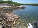 Conch shells by the Government Dock, Duncan Town