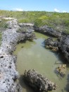 Tiny salt pond where brine shrimp were found