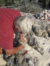 Cleaning conch, Flamingo Cay