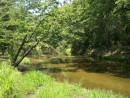 Looking upstream, Neches River