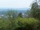 View from the top of Hot Springs Mountain