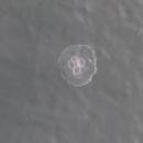 Jellyfish: This big jellyfish was swimming just outside the marina in Port St. Joe