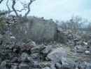 One part of the Davis Plantation Ruins.