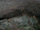 Inside the cave on Great Guana