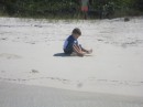 Adler back in the sand at Hamburger Beach