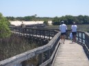 The long and winding boardwalk...with an alligator in the pond at the end.