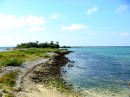 A look at Bird Key which is a bird habitat and is closed to people