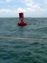 A buoy marking the channel in Tampa Bay.