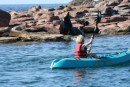 Zach exploring sea lion rookery by kayak