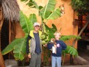 IMG_0550: Francois and Antoine found a banana tree