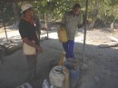 Fermentation of palm sap