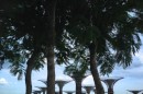 Tree sculptures in Bay of Gardens