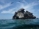 Spire rocks at Isla Isabela