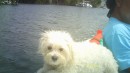 The second mate riding on the tube of the dinghy. Thats his favorite spot to ride. 