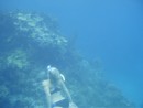 A friend we met that went snorkeling with us.