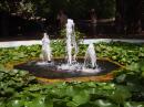Water fountains - Botanical Gardnes