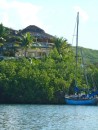 The mangroves around the Luperon harbor are used by some cruisers to attach their boats to. 