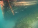 We discovered this mostly submerged wreck while we were snorkeling in Galleon Bay