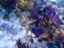 There were great colors underwater.