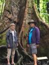 Siblings in the rainforest: What a tree!