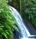 Waterfall: Waterfalls are plentiful throughout the high parts of the island and are usually easy accessed.