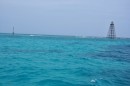 Dave saw a lot of fish including 4 large Barracuda and a Nurse Shark.