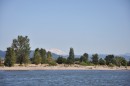 Mt. St. Helens, from the Columbia River.