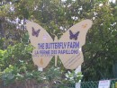 There are three Butterfly Farms.  Besides this one on St. Martin, there is the original one in Aruba and a new one on Grand Cayman.
