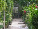 A part of the gardens at The Butterfly Farm.