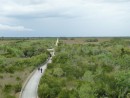 Everglades in the dry