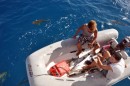 The sharks would swarm the boys when they would return to the boat with their daily catch.