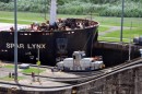 These little locomotives pull the giant container ships through the canal locks 