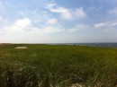 Provincetown bluff as we cycle by 081011