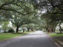 Live Oak canopied streets of Georgetown 101211
