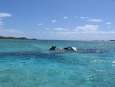 Dive site sunken plane, Normans Cay