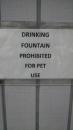 Excuse me!!! What use are we talking about?: This sign was in Naples, FL. It was the last time Peg/Marg drank from an outside, public water fountain. She would rather die of thirst.  Of course, we are talking about Naples where people are more concerned about their snickerdoodle, yappy, rat beasts, than Peg/Marg